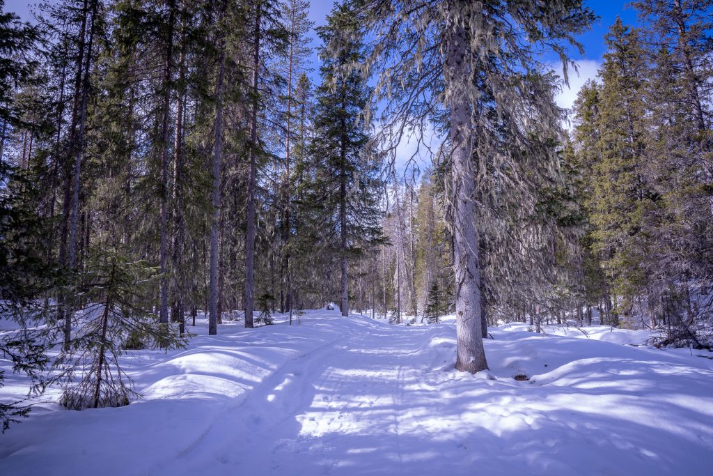 Hossan kansallispuiston talvipolku