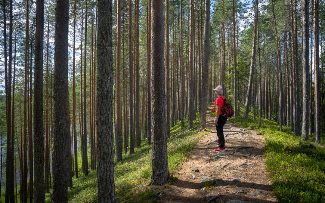 What is Kainuu Arctic Lakeland?